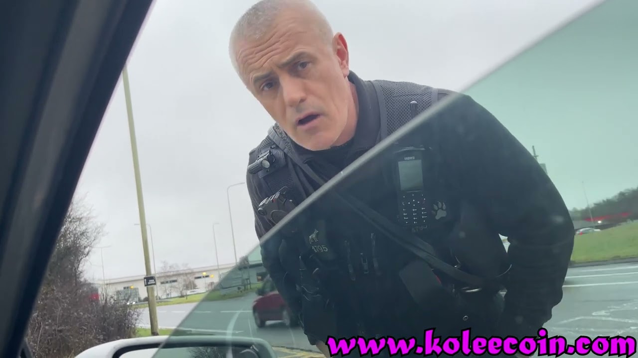 Pulled over by Dog Police