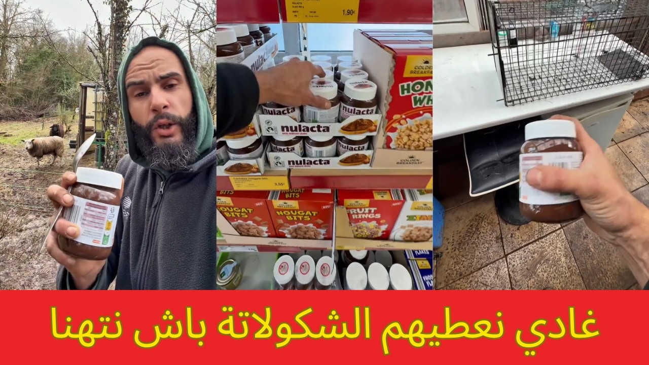 غادي نعطيهم الشكولاتة باش نتهنا