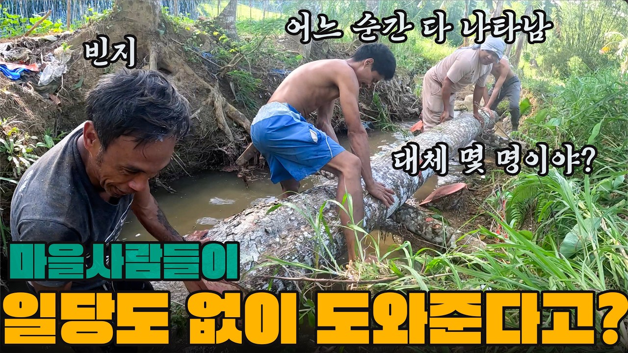 무거운 통나무 필리핀 직원이 옮기는데 마을 사람들이 와서 도와주는 모습에 감동받았습니다. 필리핀 시골집 만들기