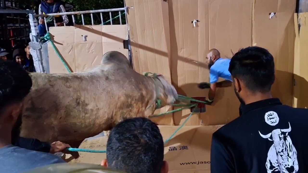 Bakrid 2024
