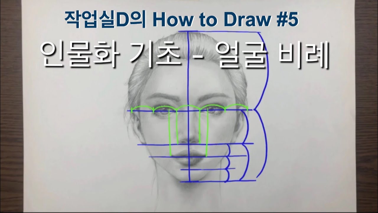 ENG)작업실D. 인물화 기초 - 얼굴 비례 studioD. How to draw a face