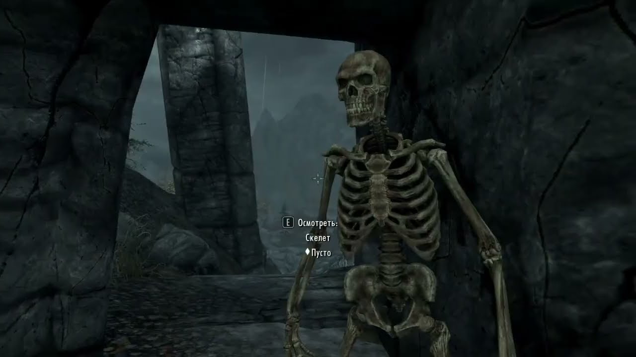Idk what kind of bug this is, but its funny