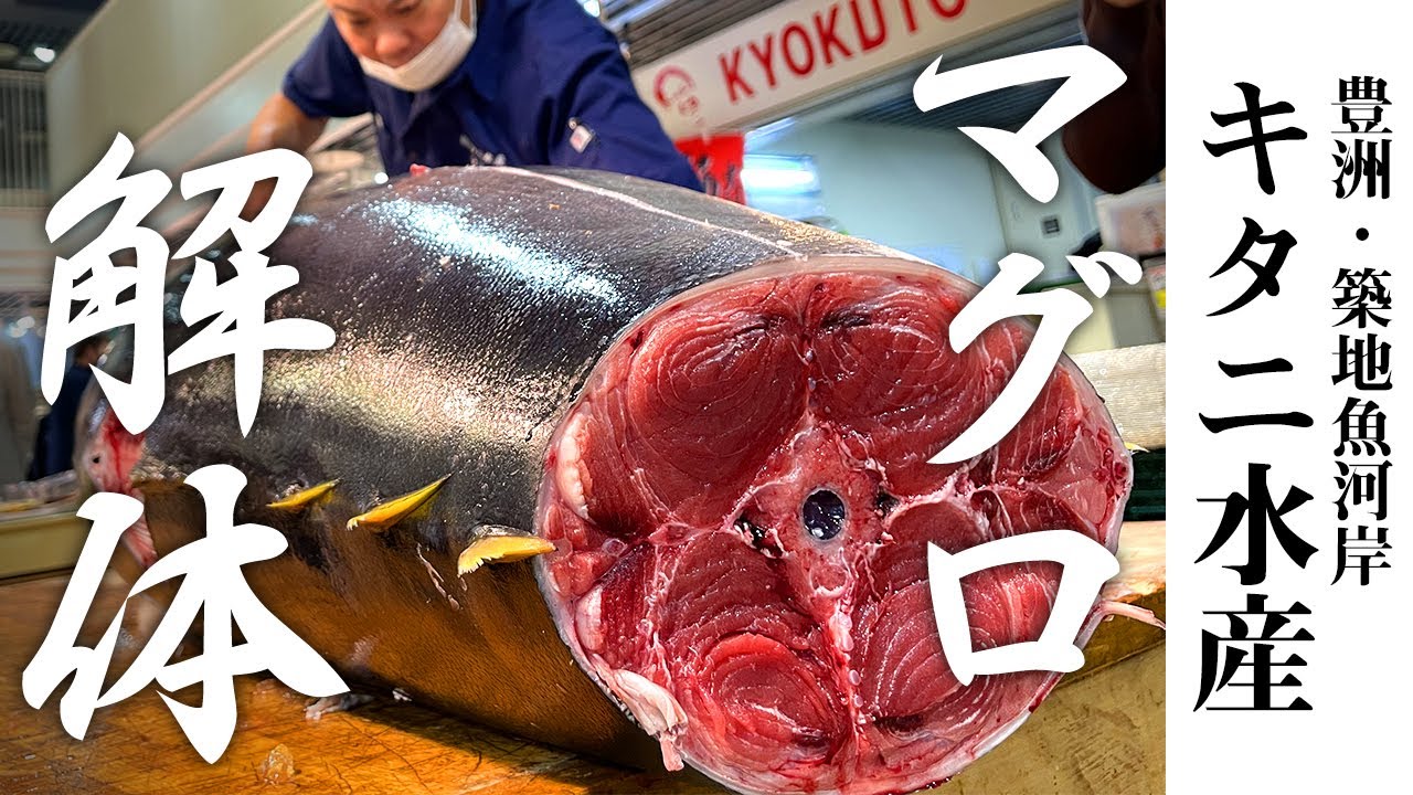 築地魚河岸で100kg級のマグロ解体、豊洲市場仲卸キタニ水産の技を大公開｜Toyosu & Tsukiji fish market  | Giant  Tuna dismantling