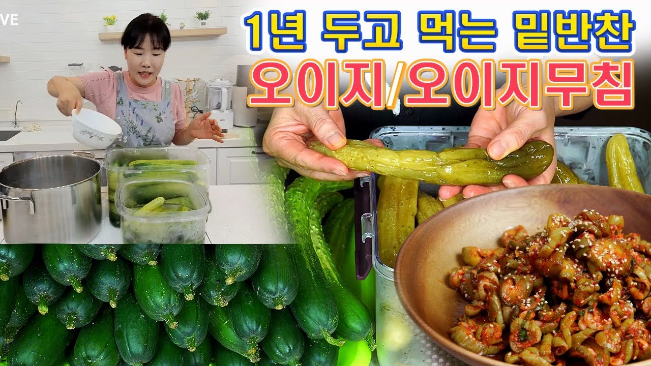 🔴 지금 만들어 놓으면 1년이 행복한 밑반찬, 오이지 소금 비율, 오이지무침 만드는 방법