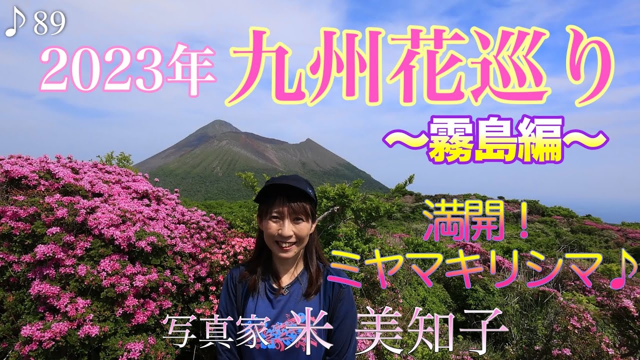 【花撮影】2023年九州花巡り《霧島編》満開のミヤマキリシマを撮る♪