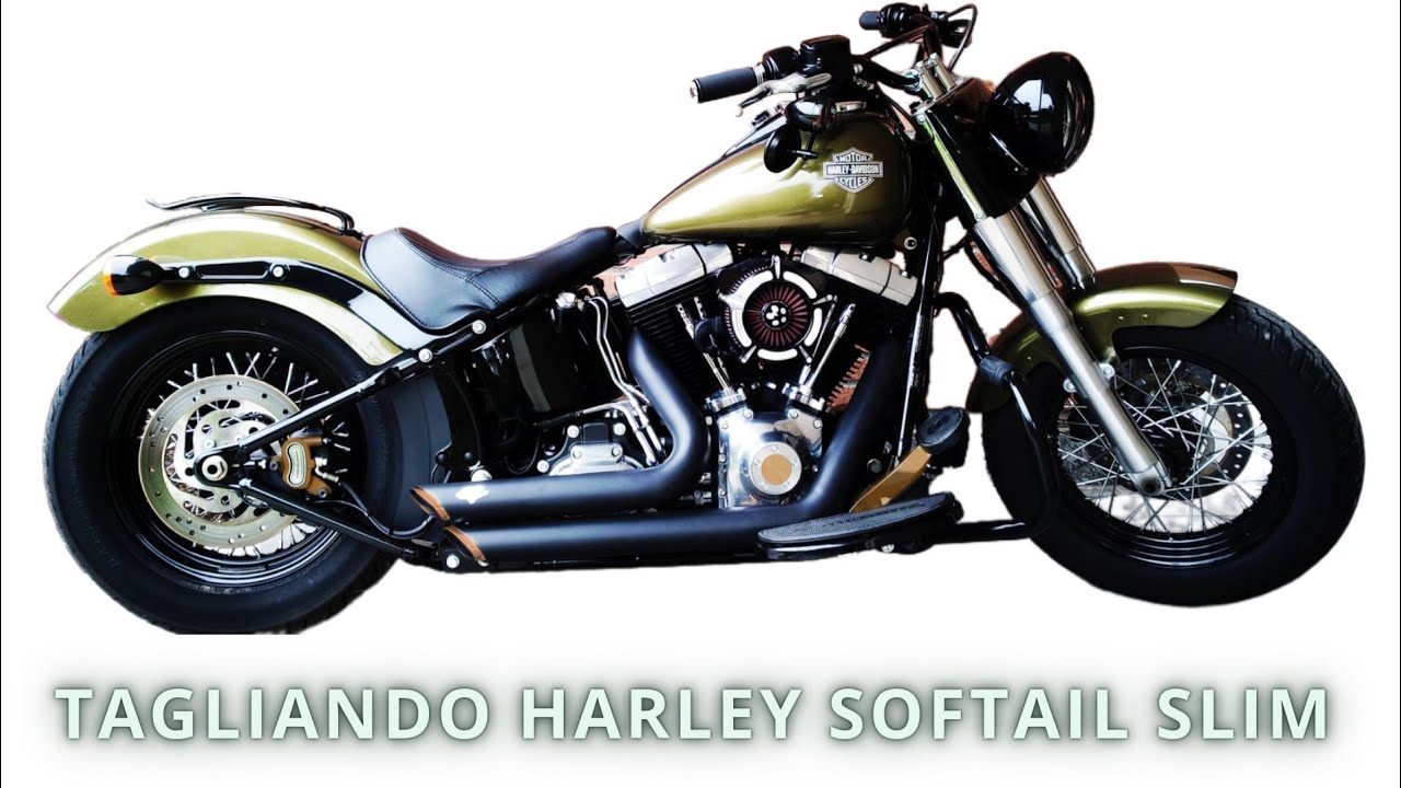 Tagliando Harley Softail Slim