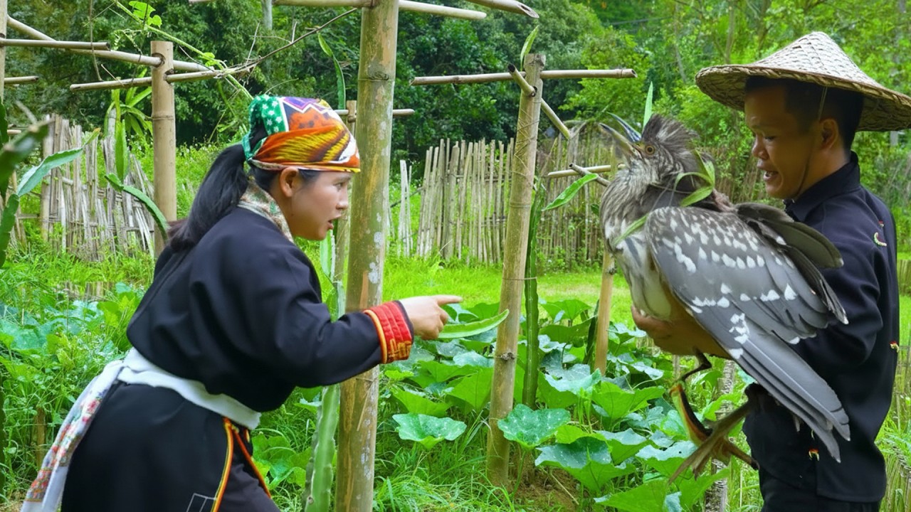 Dwarf Family: Hunting Storks in the Fields and Cooks a Rustic Dish