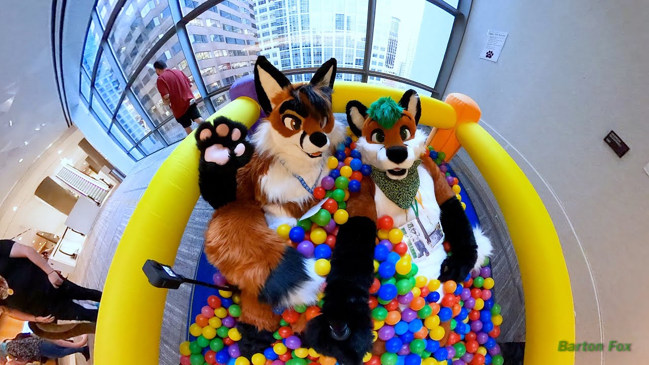 Anthro Northwest 2021 (ANW 2021) - Random Clips