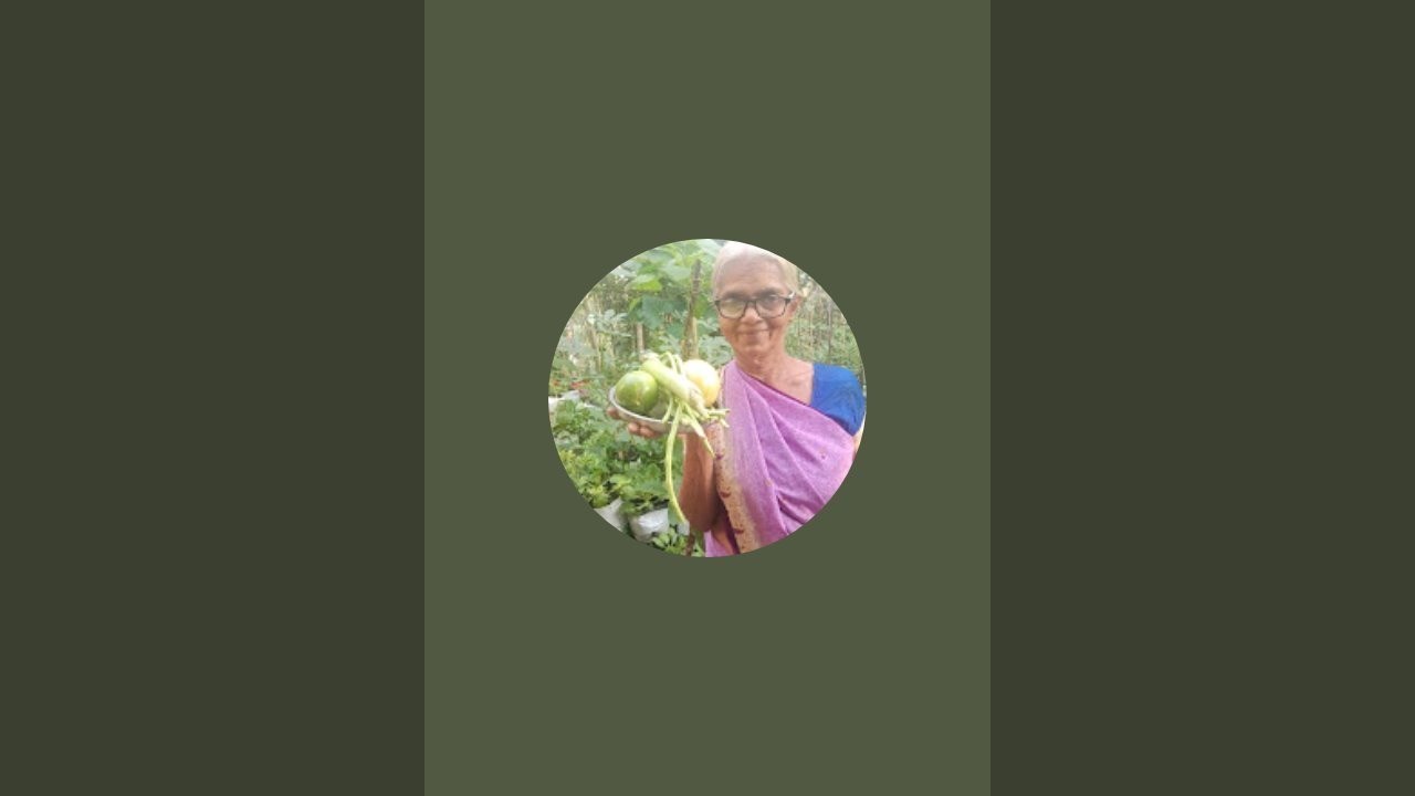 Haimavathi krishivlog is live