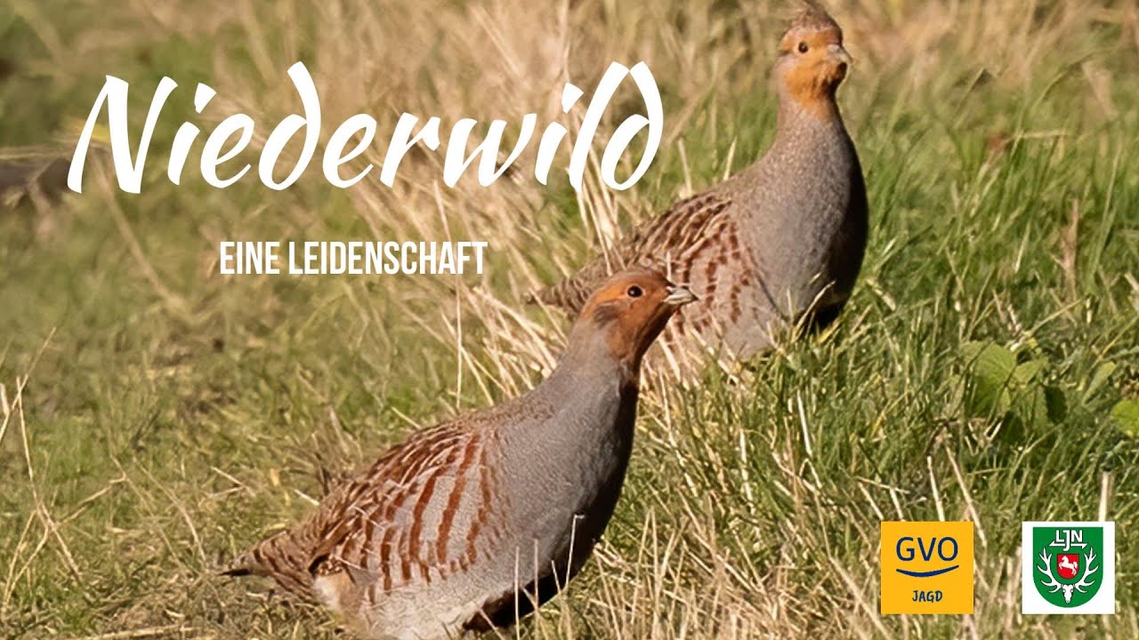 Besuch der Feldhuhnstation Merzen - Niederwildhege