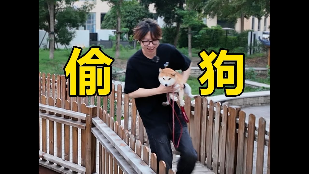 真假堆堆
