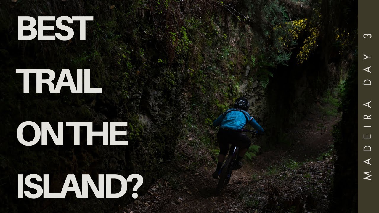 Is This the Best Trail on all of Madeira??? - Madeira Day 3