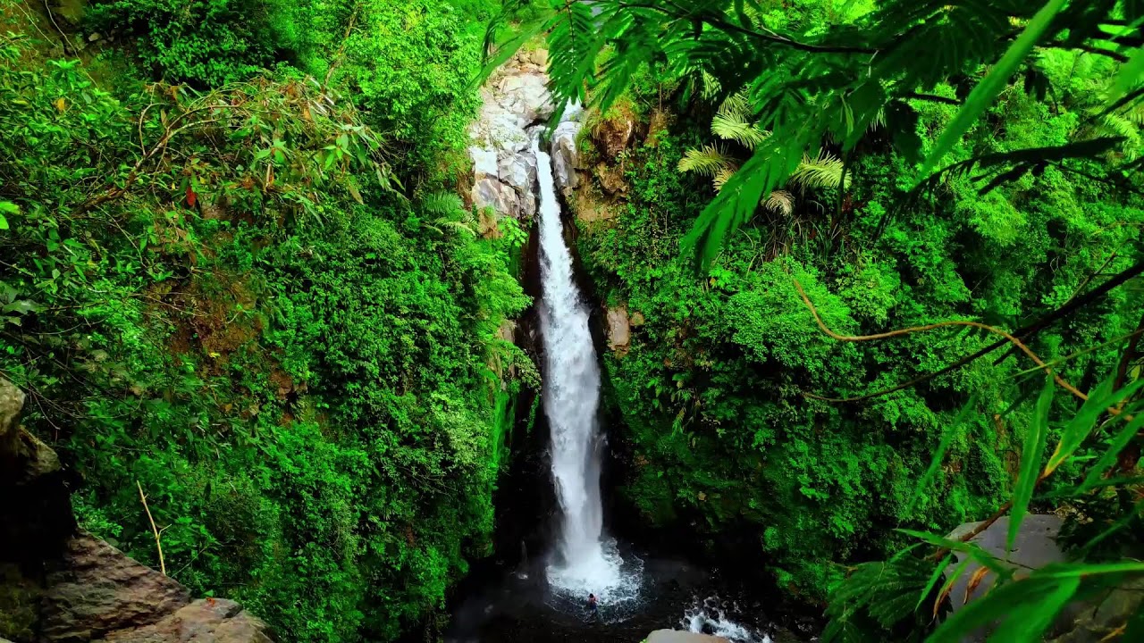Gentle River Sound Therapy to Calm Anxiety and Heal the Emotional Mind