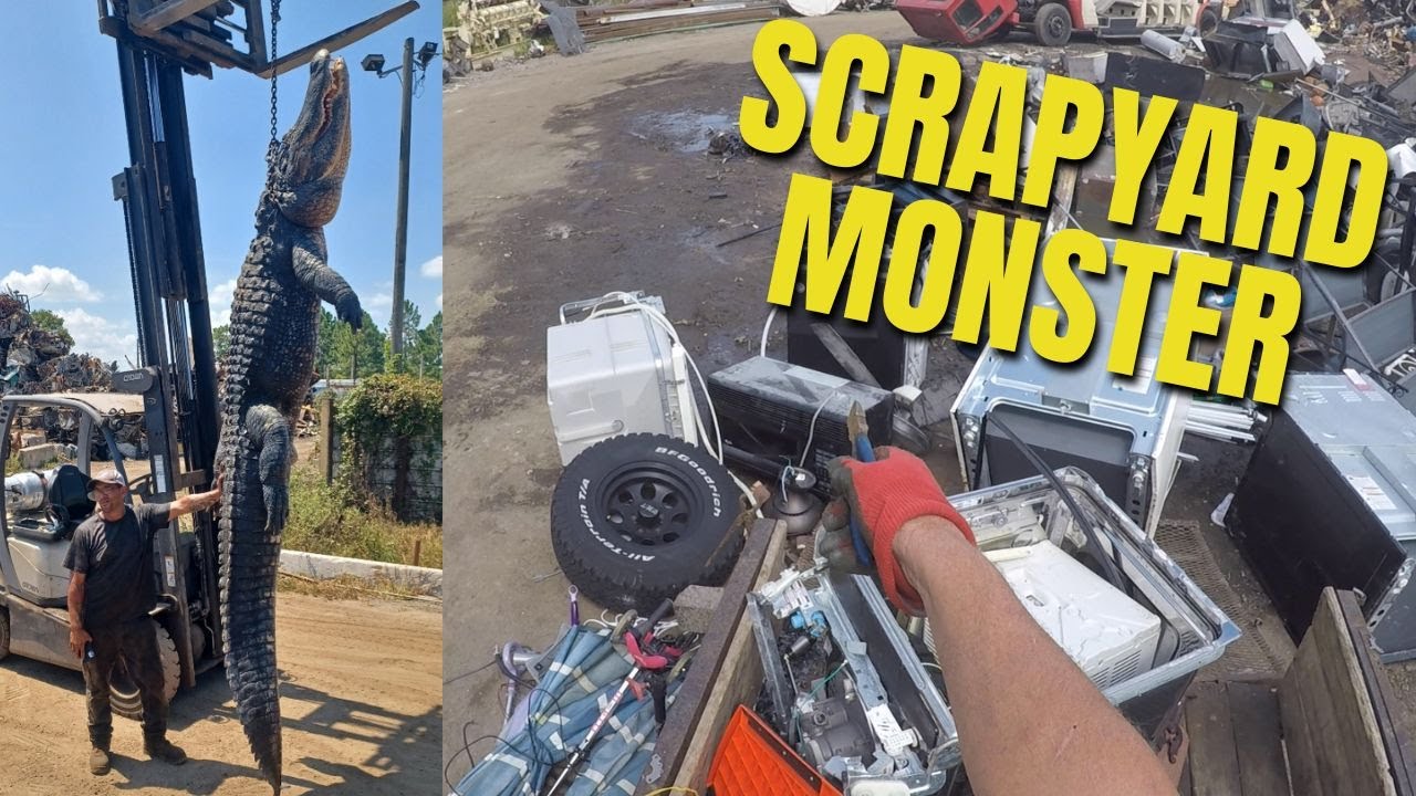 Street Scrapping - We Found Twins and A Gator!