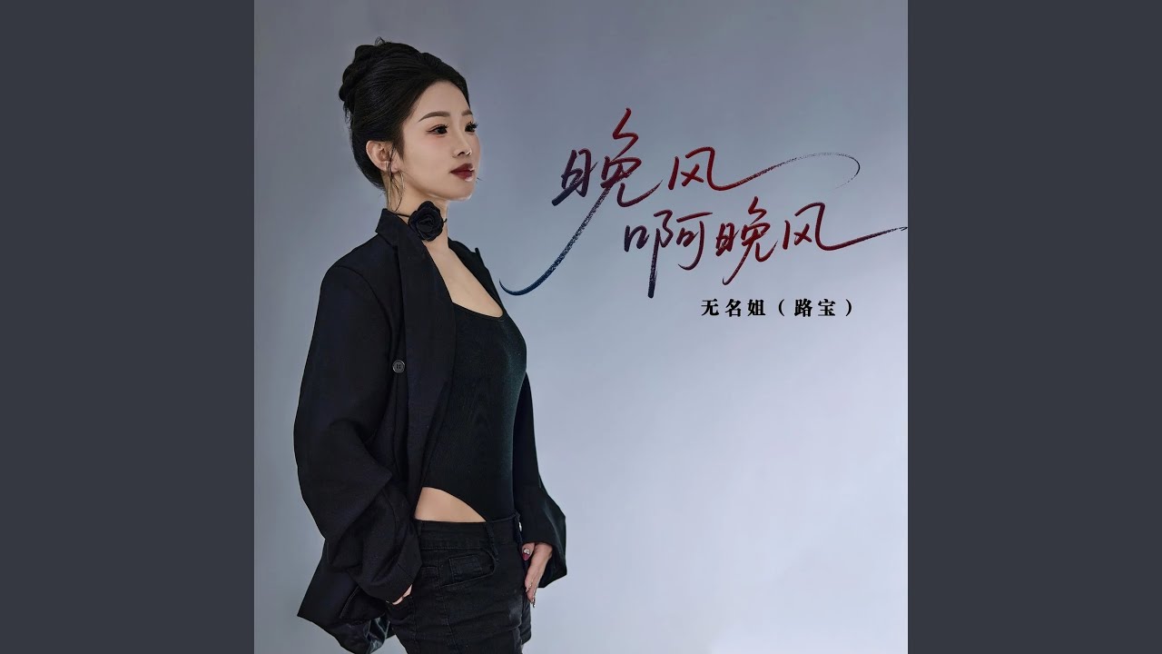 再见晚风 (DJ九零版)