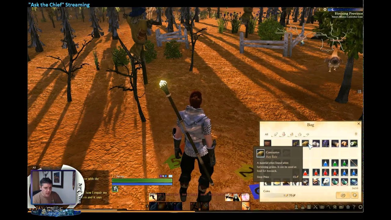 ArcheAge Professions Primer