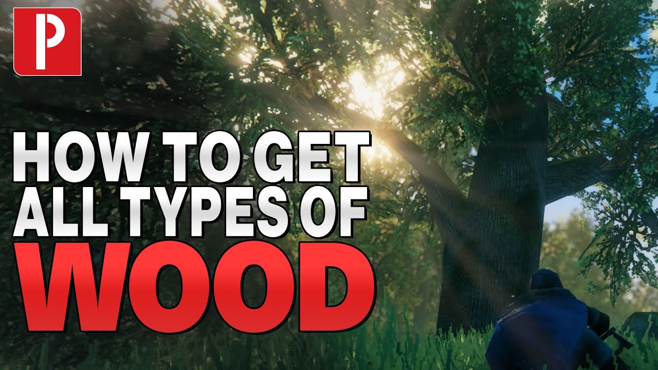 How to Get All Types of Wood in Valheim