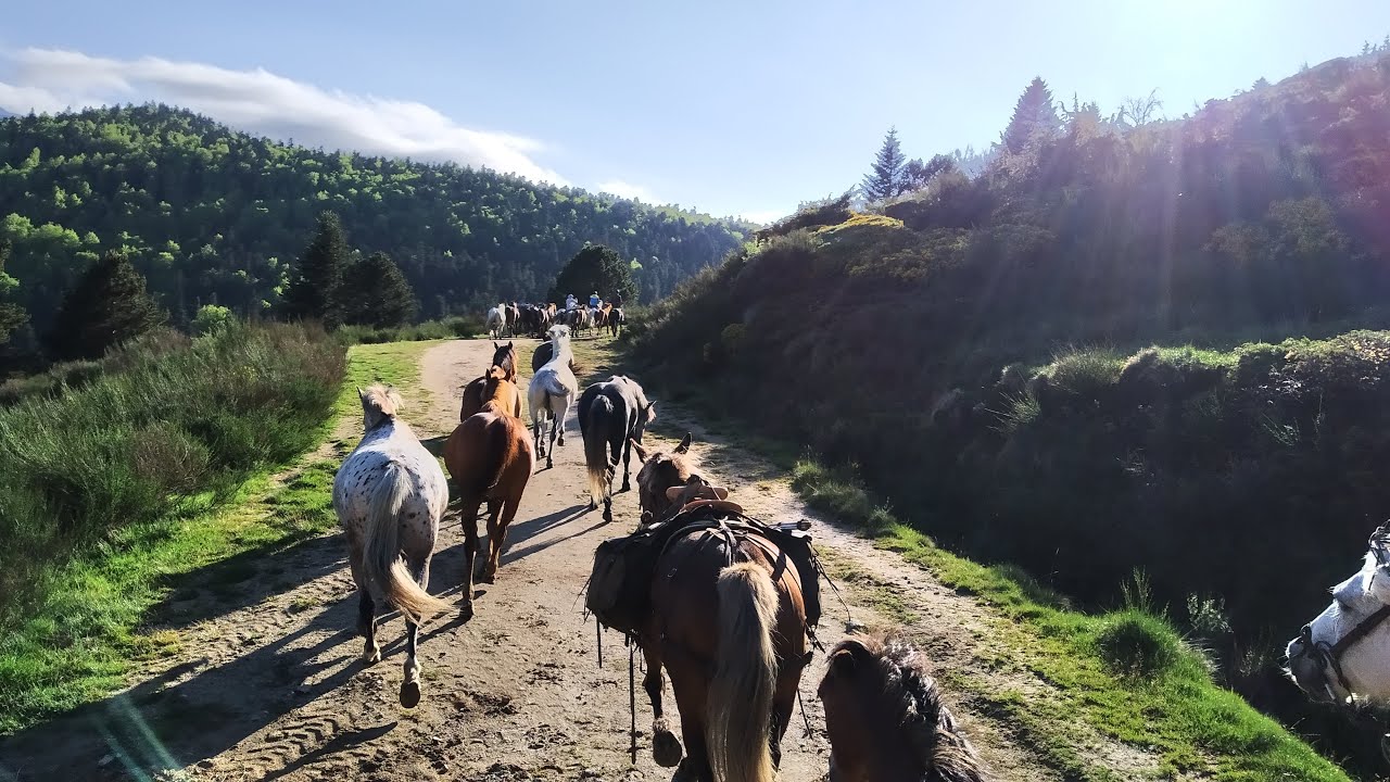 Notre première Transhumance à Cheval Dans les Pyrénées