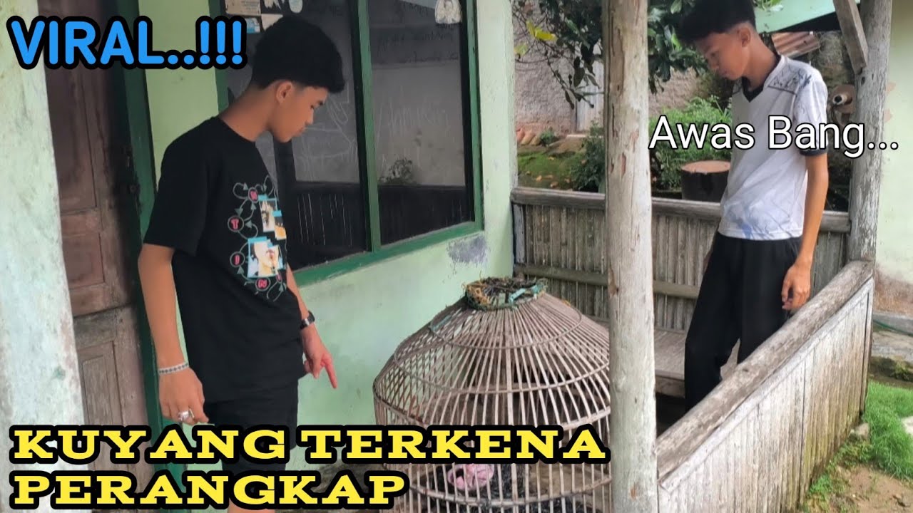 VIRAL‼️ KUYANG INI MASUK KEDALAM PERANGKAP DENGAN BERLUMBURAN DARAH NGERII...