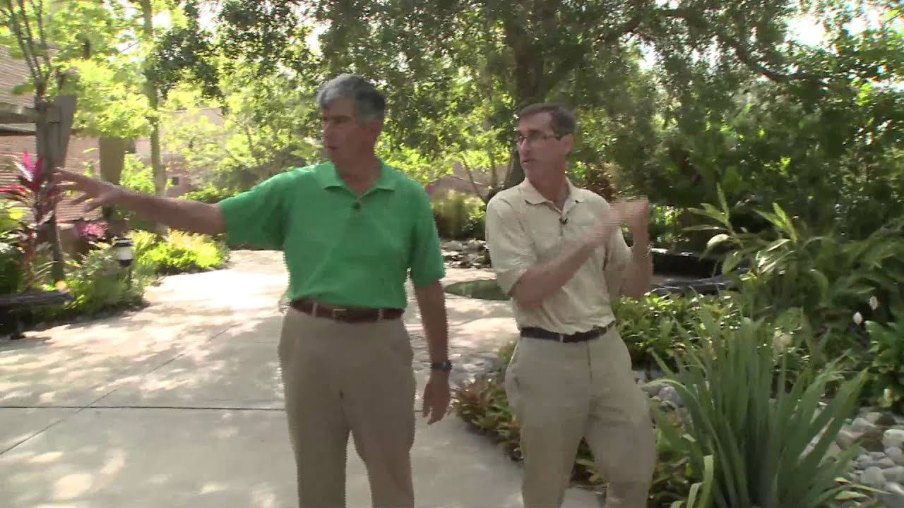Central Florida Gardening   Creative Florida Friendly Landscapes including non natives