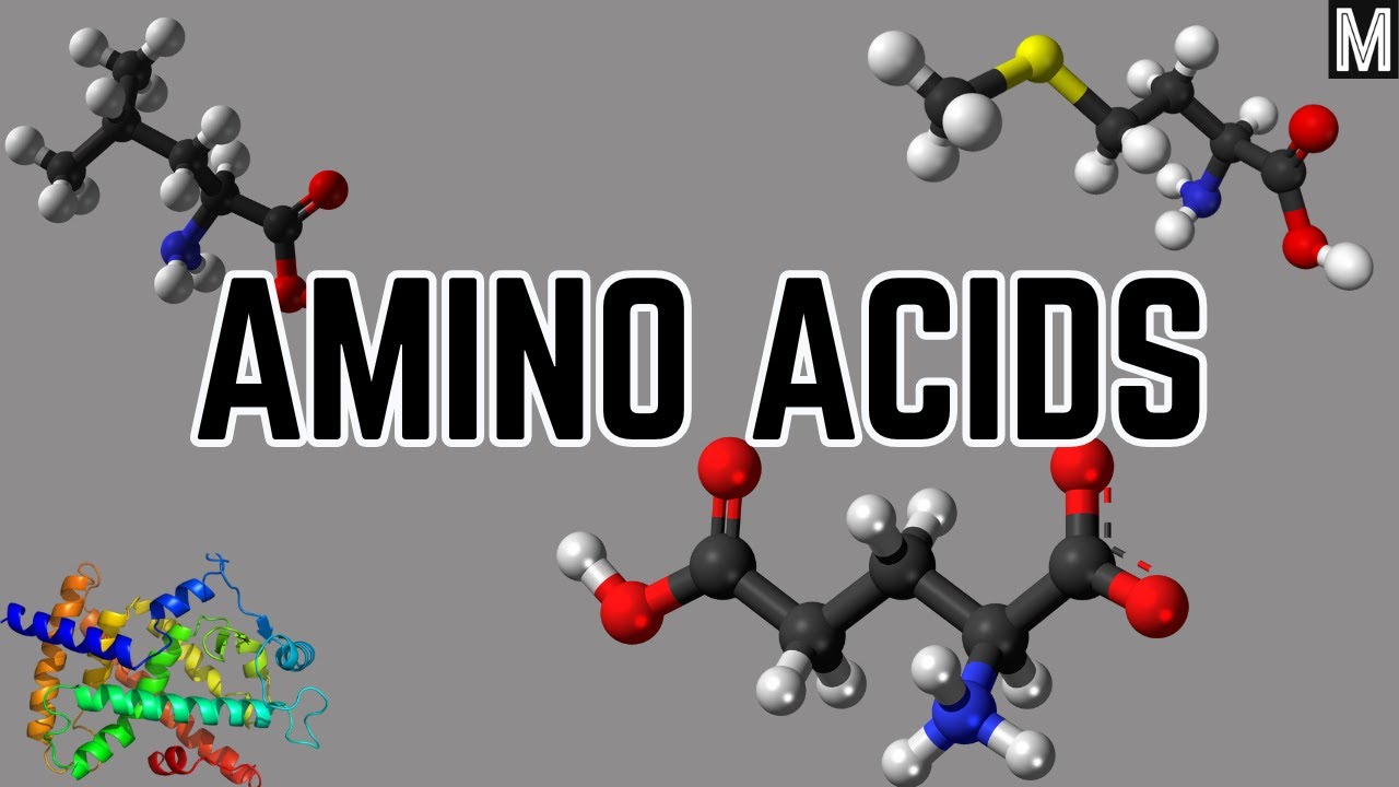 Amino Acids: Structure, Classification & Peptide Bond