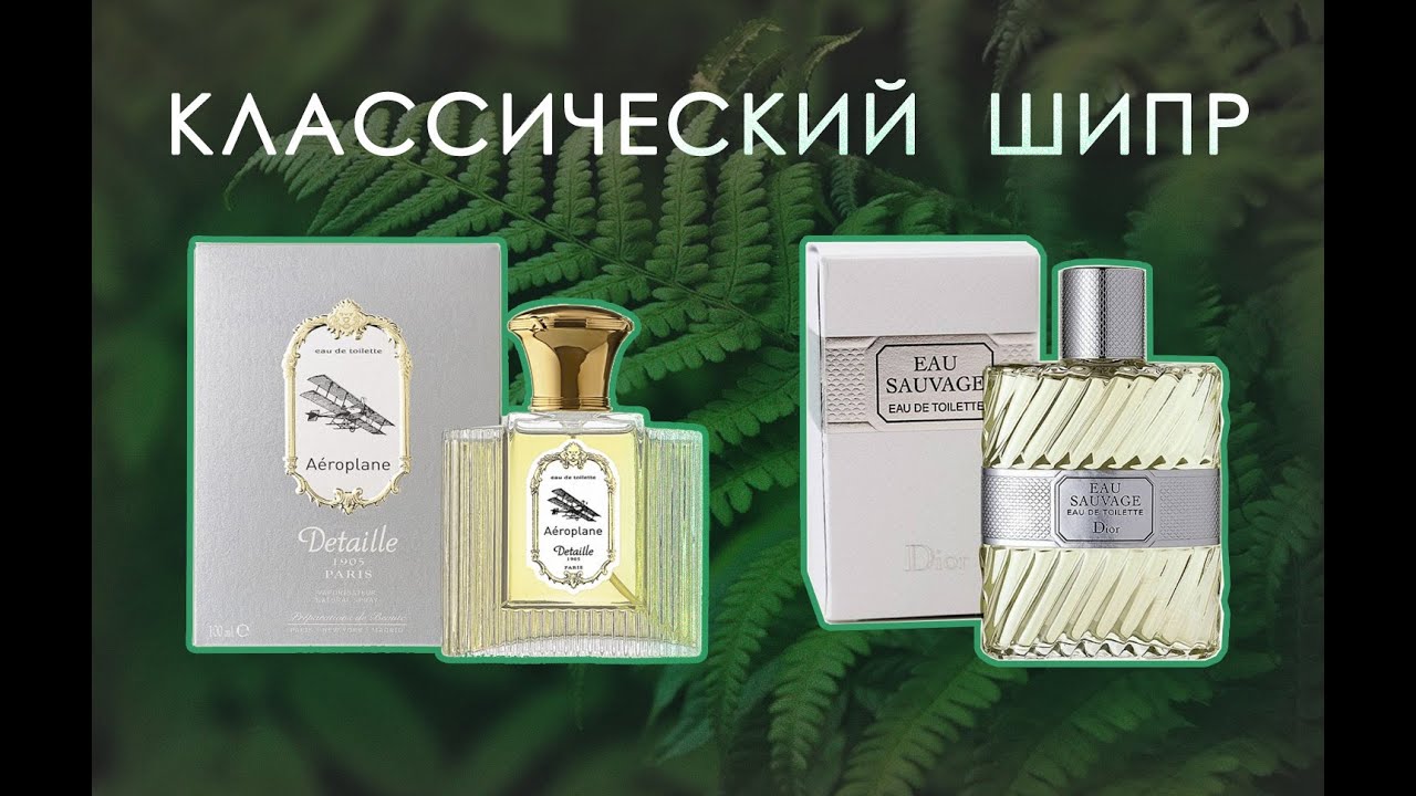 Eau Sauvage DIOR или Aeroplane DETAILLE | ЧТО ВЫБРАТЬ | Классический муж шипр в жен гардеробе