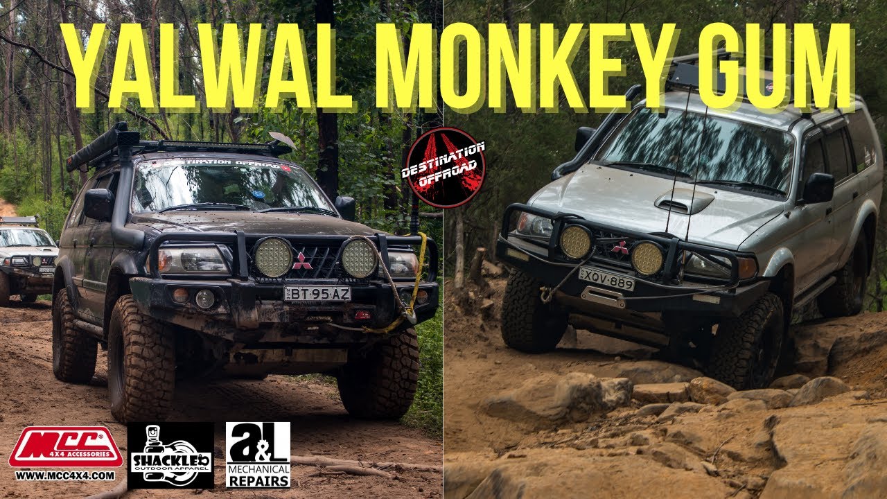 Yalwal Monkey Gum 4wd 4x4 2020