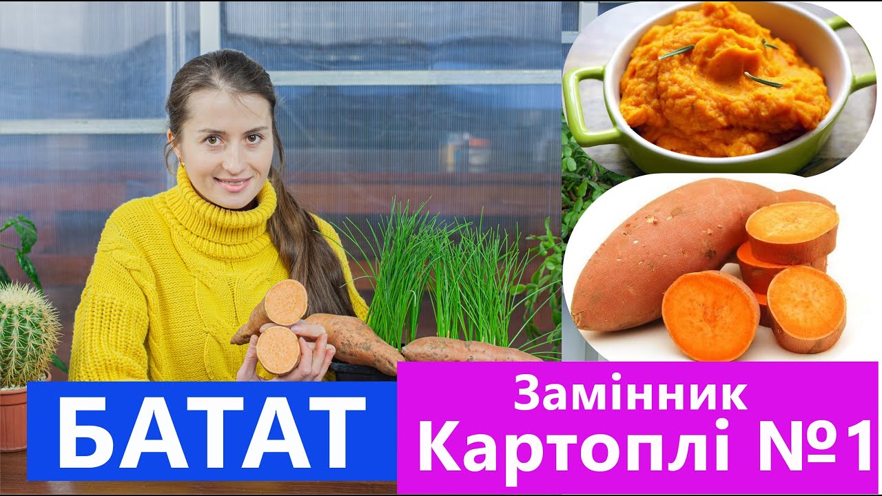 БАТАТ 🍠 ОВОЧ ЯКИЙ ЗАМІНИТЬ КАРТОПЛЮ 🥔 СОЛОДКА КАРТОПЛЯ 🍬