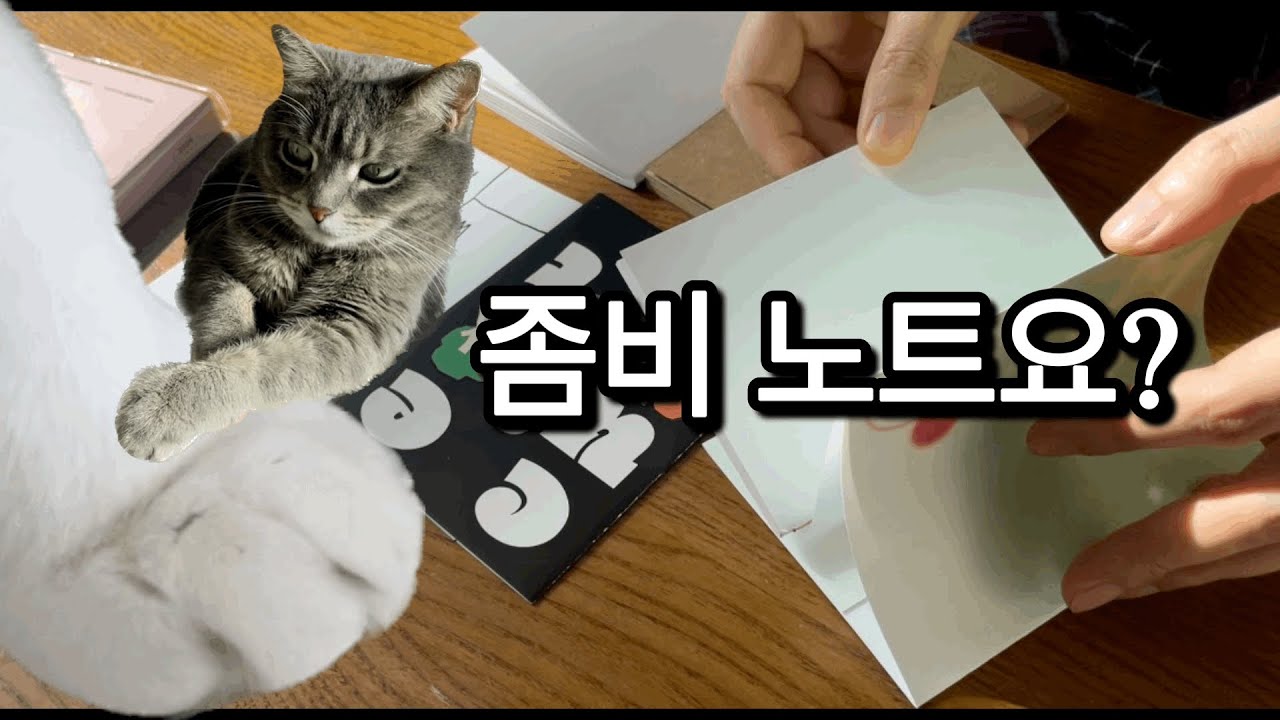 다이어리 콤비노트 만들고 고양이랑 라볶이