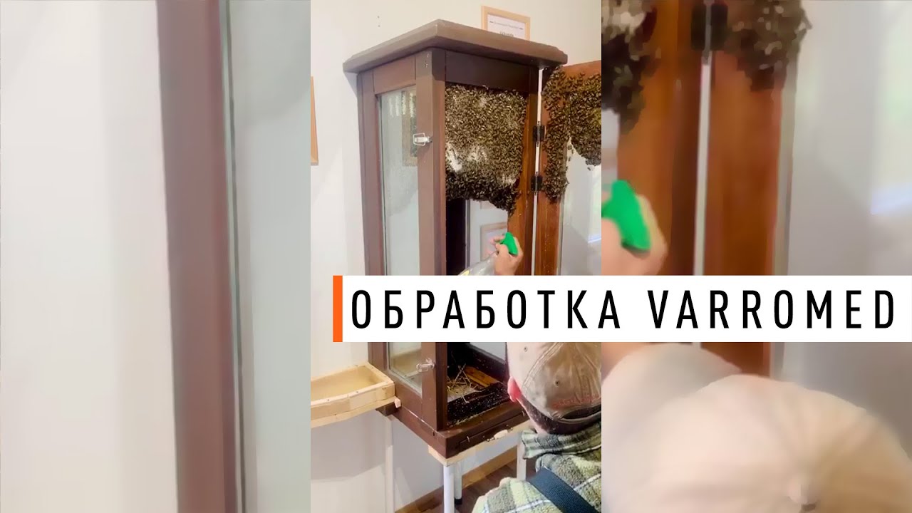 Обработка от клеща при помощи VarroMed - Парк Плюс