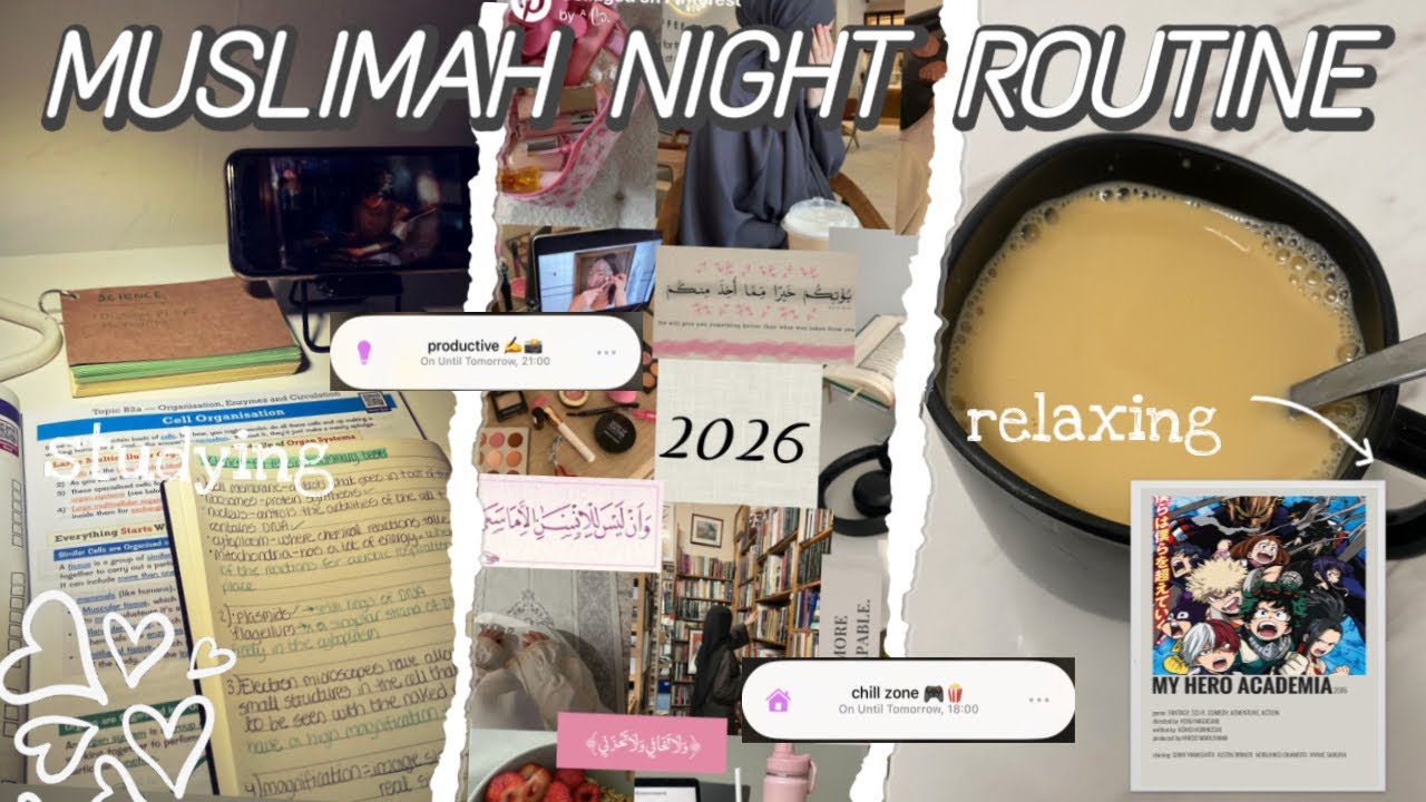 night routine ꨄ eating, studying , reading .etc