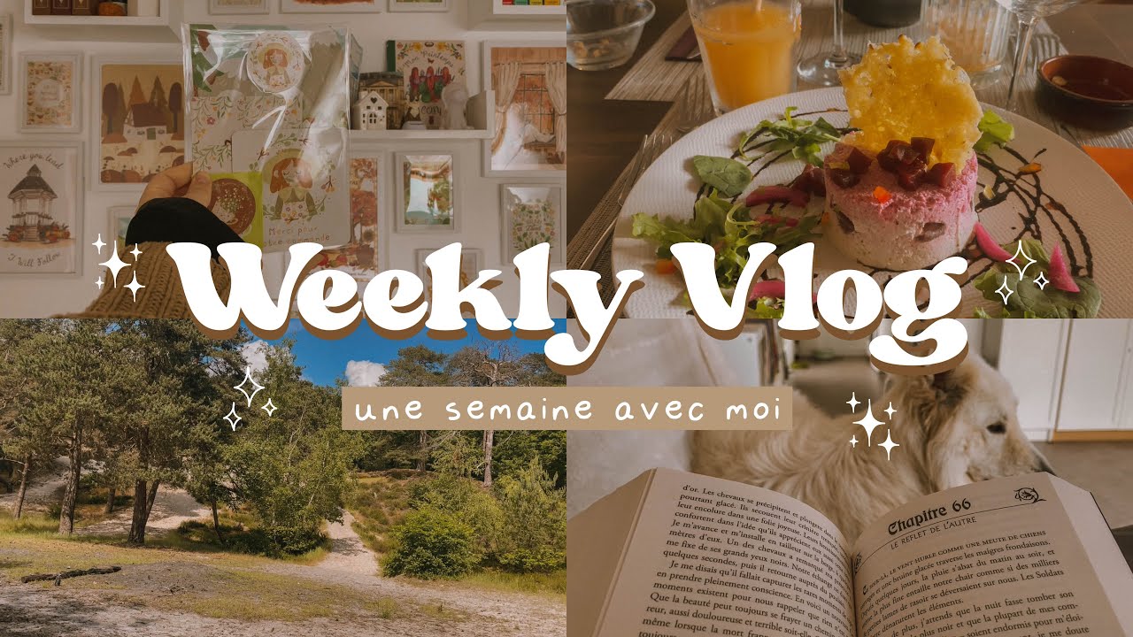Papeterie, avis lecture et book haul 💐 Reading Vlog