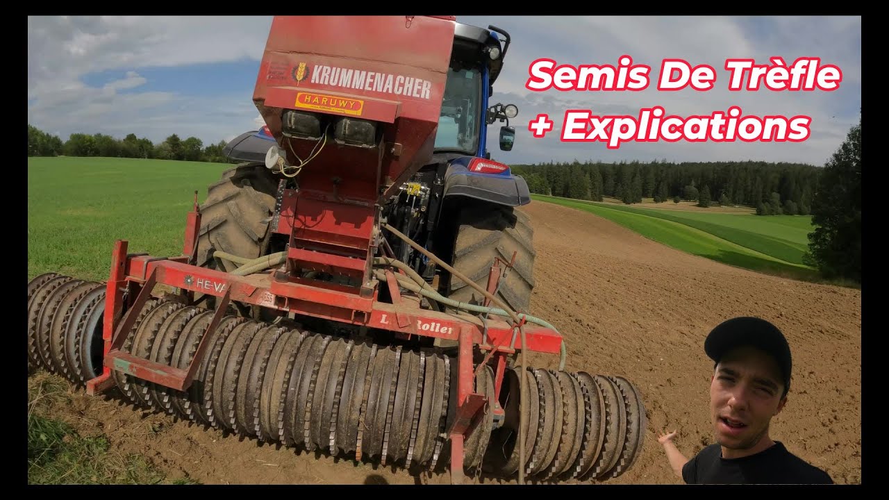 Semis Trèfle + Explications !