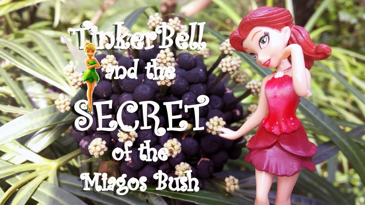 Disney Fairies Tinkerbell Rosetta Full Of Fun Figure Secret of Flower Osmoxylon Lineare Miagos Bush