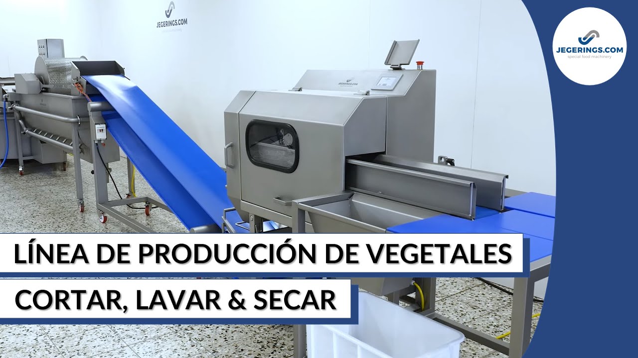 Línea de Producción Para el Corte y Lavado de Vegetales