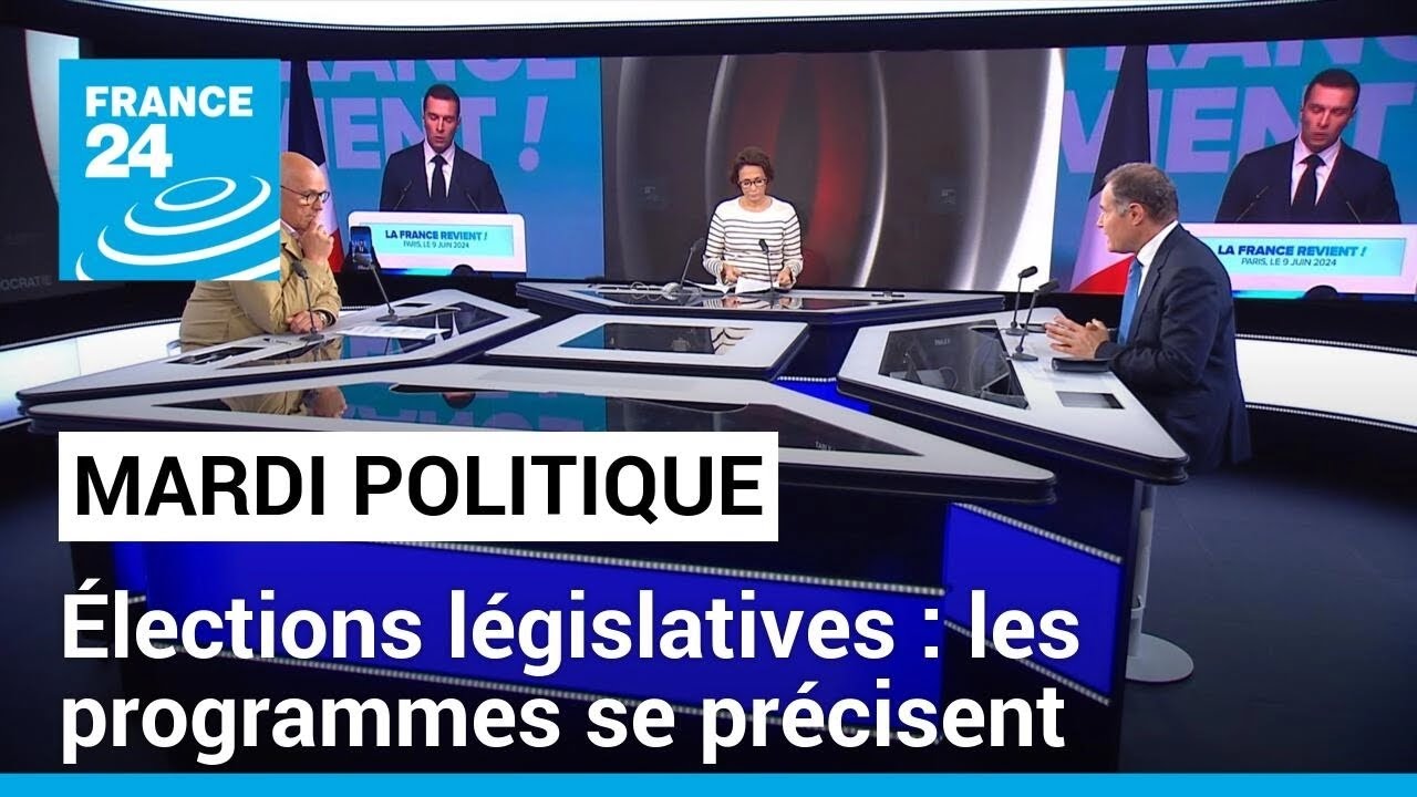 Élections législatives : les programmes des candidats se précisent • FRANCE 24