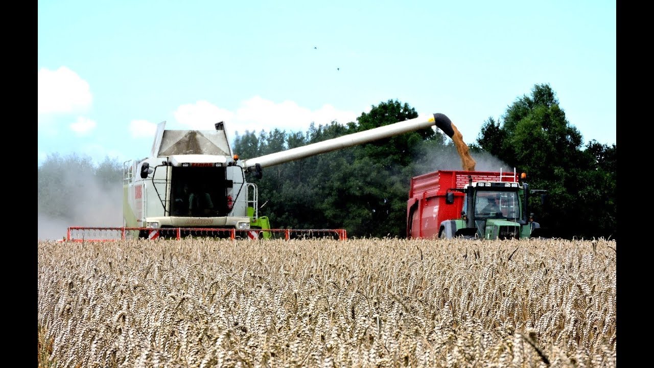Claas Lexion 480 TT im Weizen / Fendt 818 / John Deere  7800