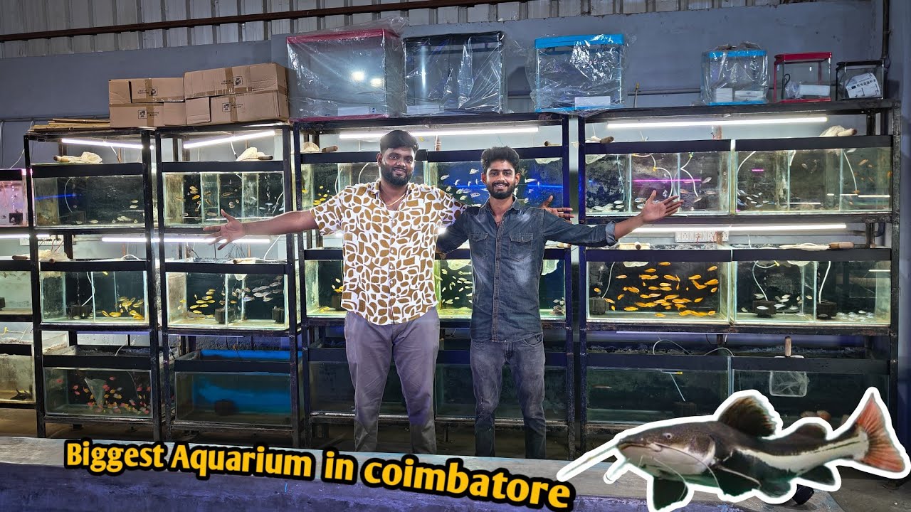 Kovai Aquarium pond and shop tour | Nemo pets | தமிழ்