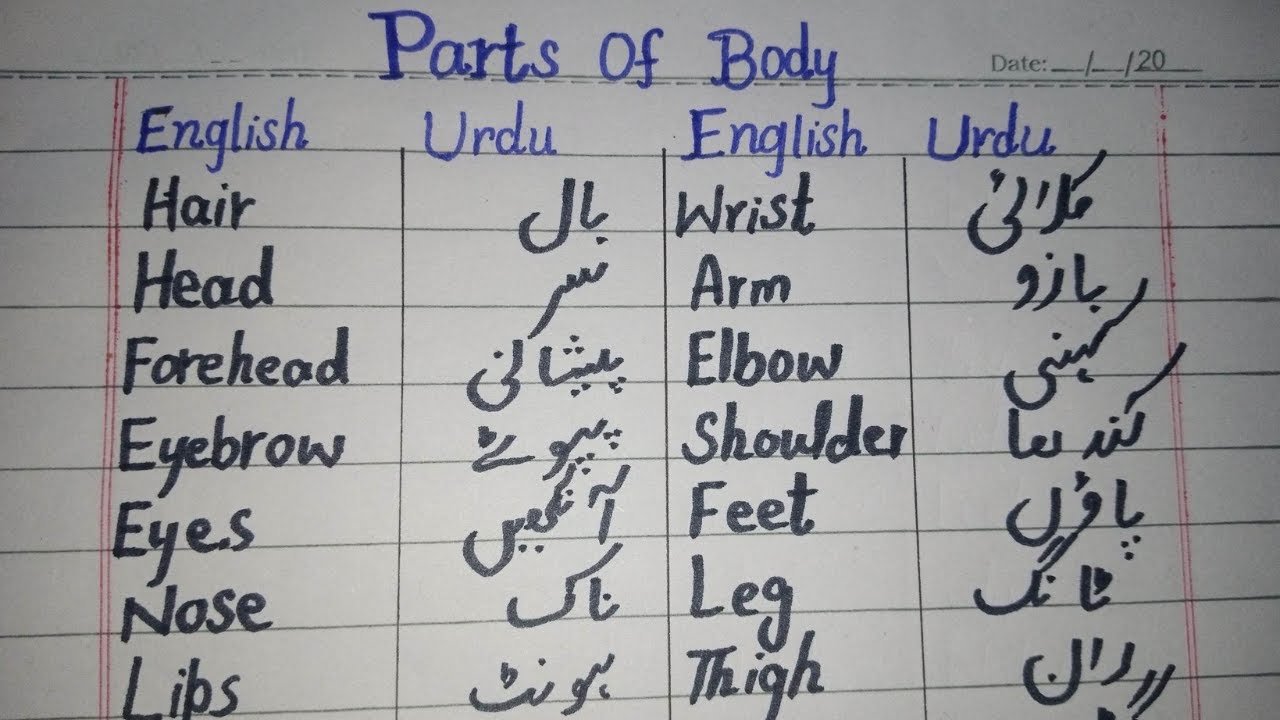 Parts of body name in English and Urdu - Parts of body - jism k hisso k name seekhen English Urdu me