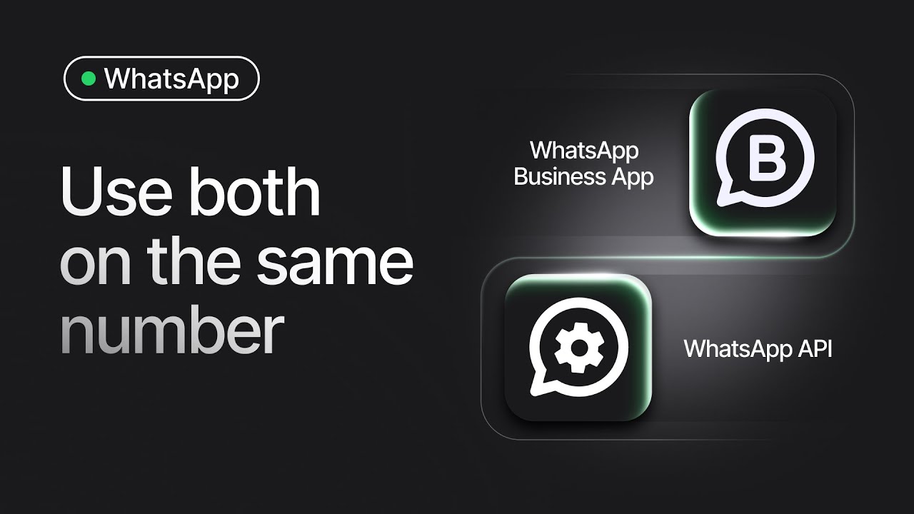 Объяснение сосуществования WhatsApp: используйте приложение WhatsApp Business и API на одном номере