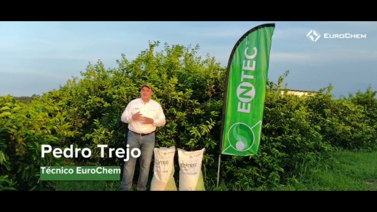 Fertilizante 𝗘𝗻𝘁𝗲𝗰 𝗲𝘀𝗽𝗲𝗰𝗶𝗮𝗹 la mas alta tecnología Alemana en nutrición vegetal.