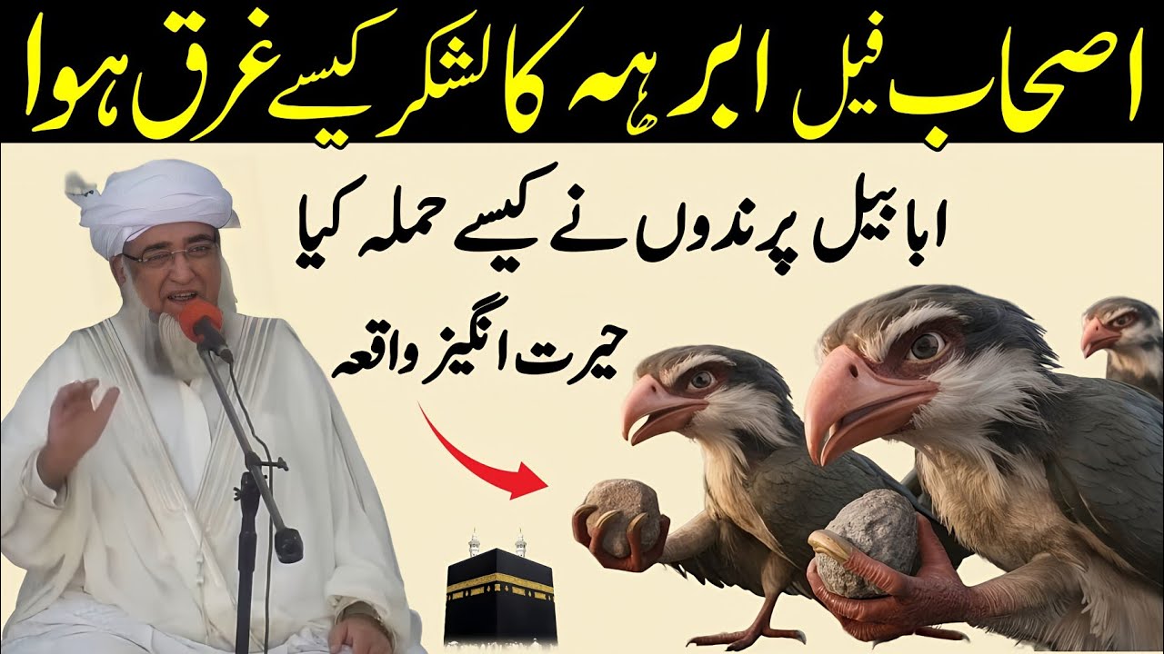 Ashab e Feel Aur Ababeel ka Waqia | Abraha And Ababeel Bird Story in Urdu | Mufti Zarwali Khan