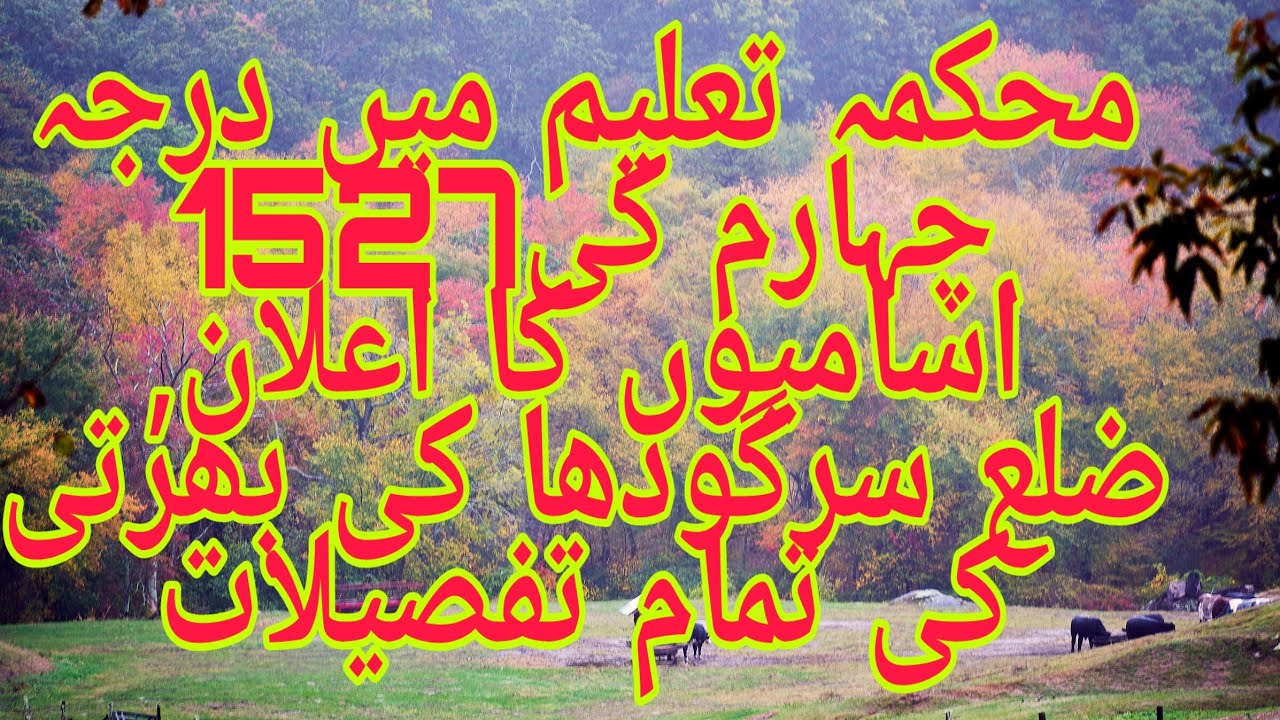 Class four jobs in Punjab education department 2020