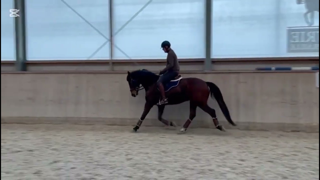Dooncan del Barroncio - training 6 février 2026