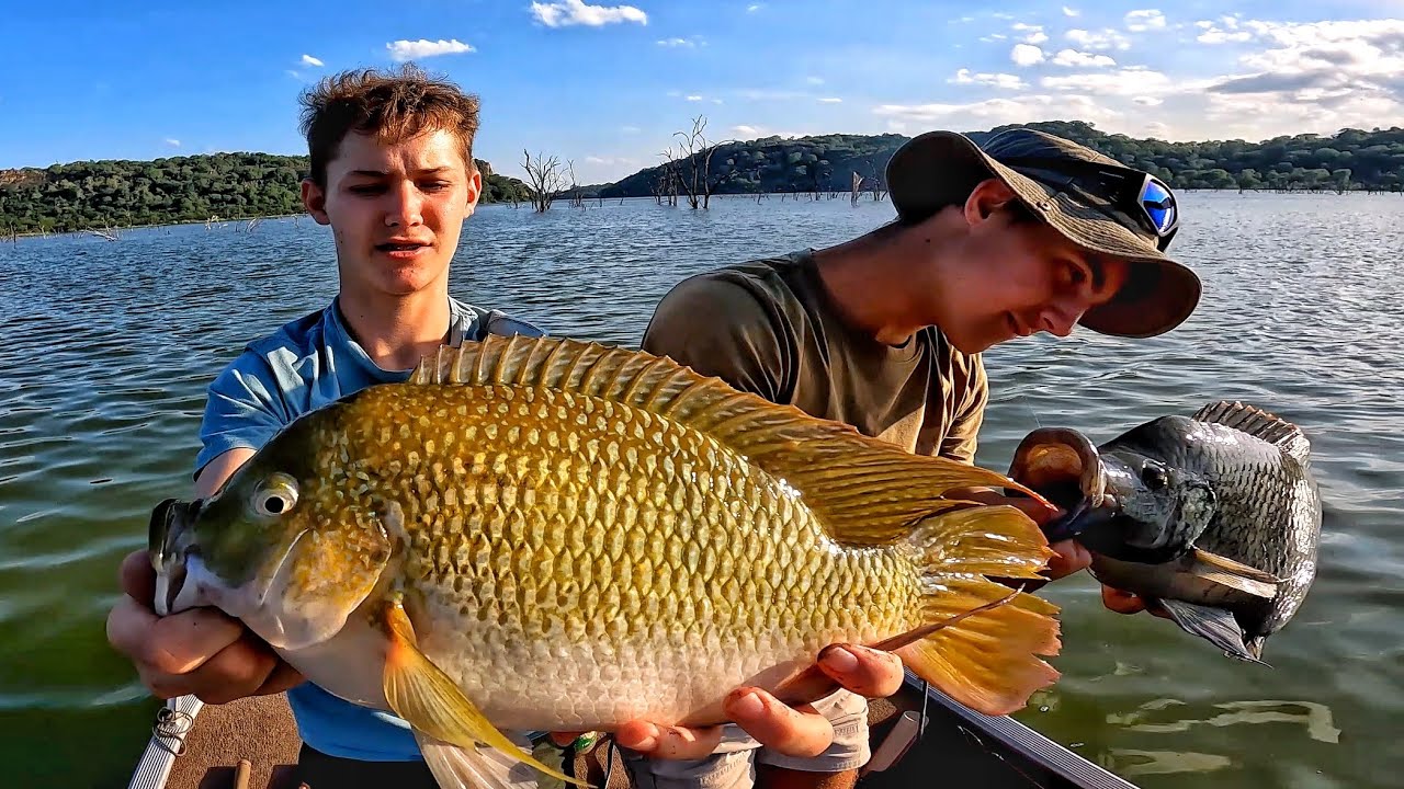 Fishing for BIG African Cichlids