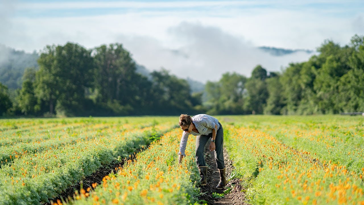 The Gaia Herbs Farm