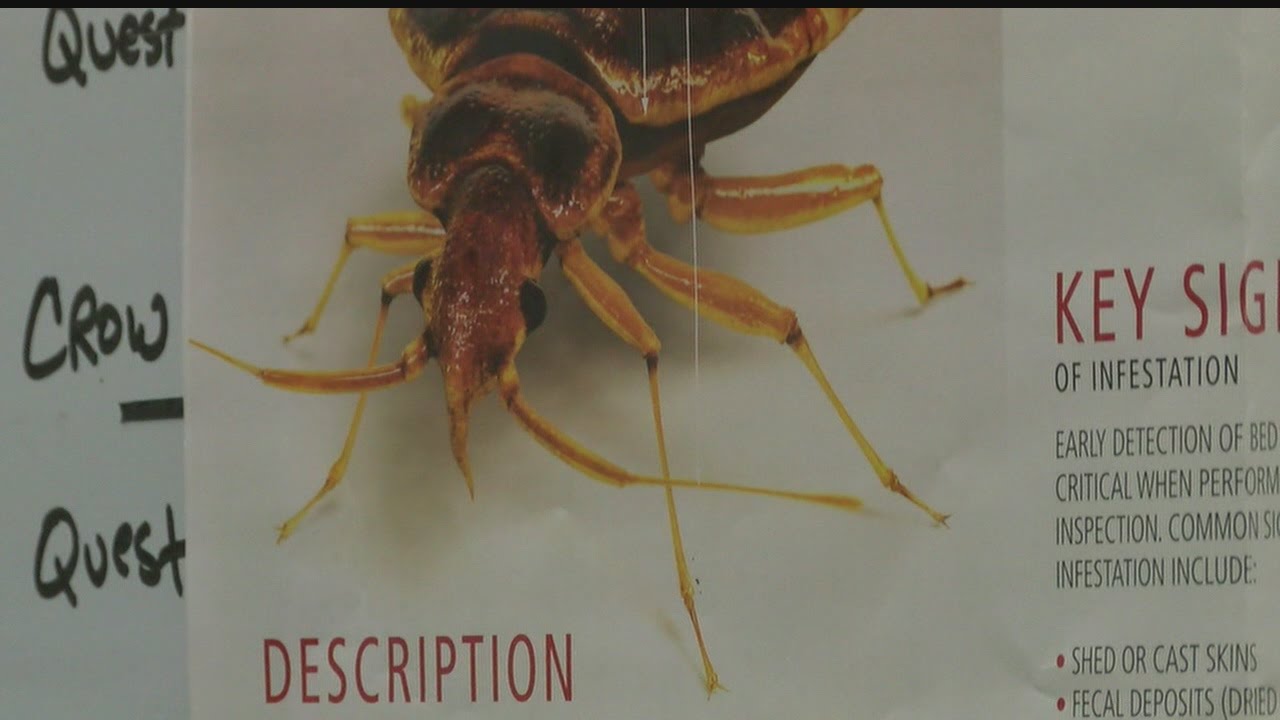 Bedbug battle rattles residents in the Valley