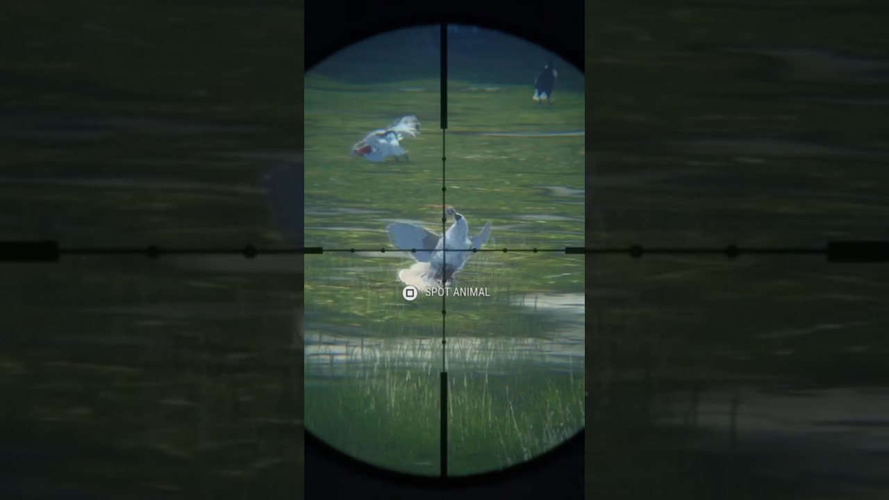 Big Bird Terminator's .22 and Shotgun #cotw #cotwgameplay