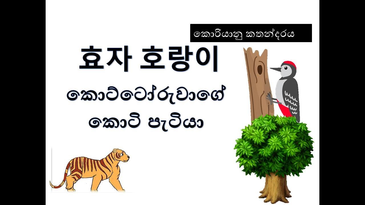 효자 호랑이 *කොට්ටෝරුවාගේ කොටි පැටියා