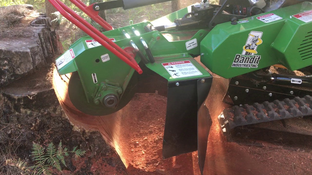 Bandit ZT1844 stump grinder - hardest wood in the world...dead Australian Hardwood.